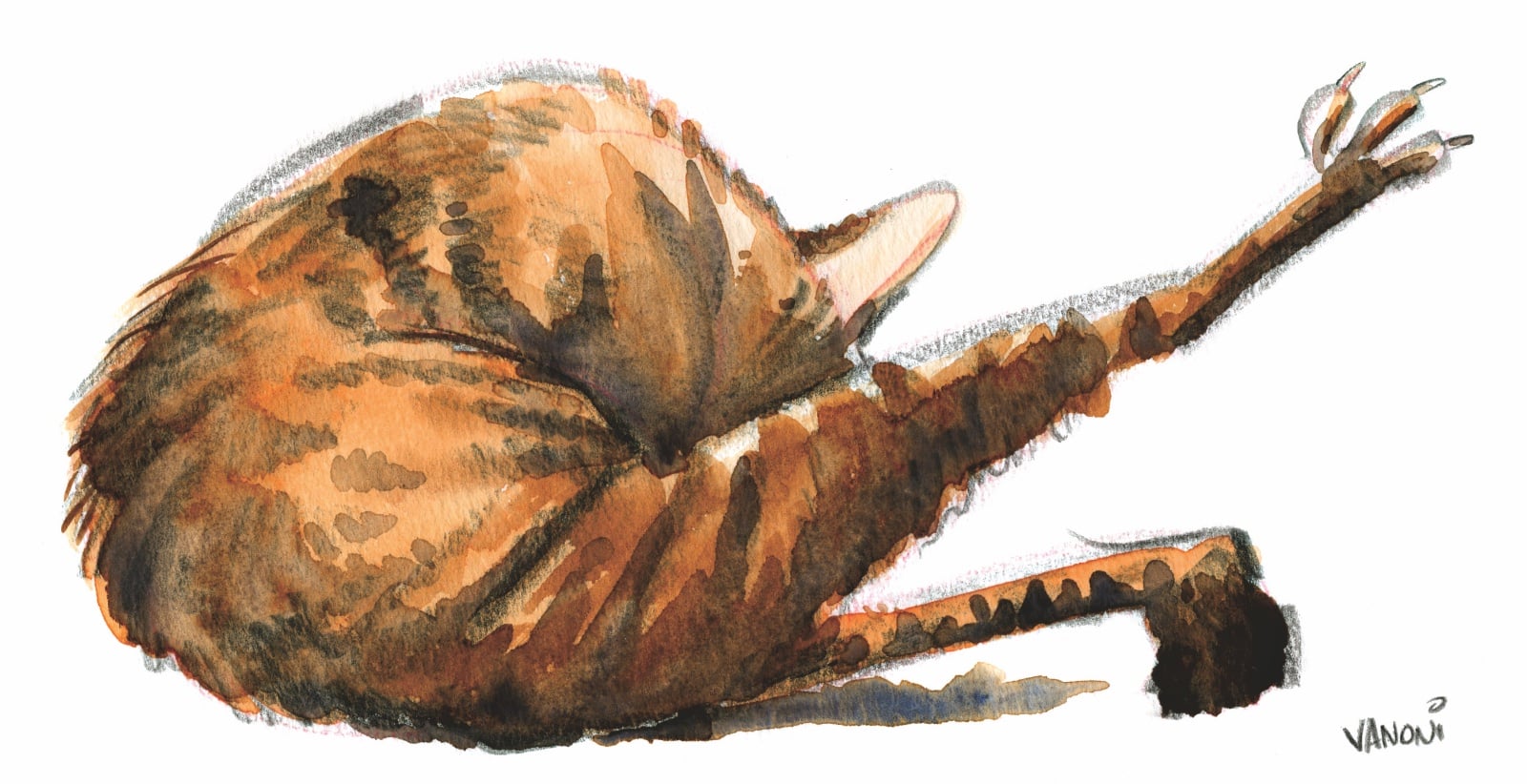 'Toe Stretch' Watercolor, Pencil