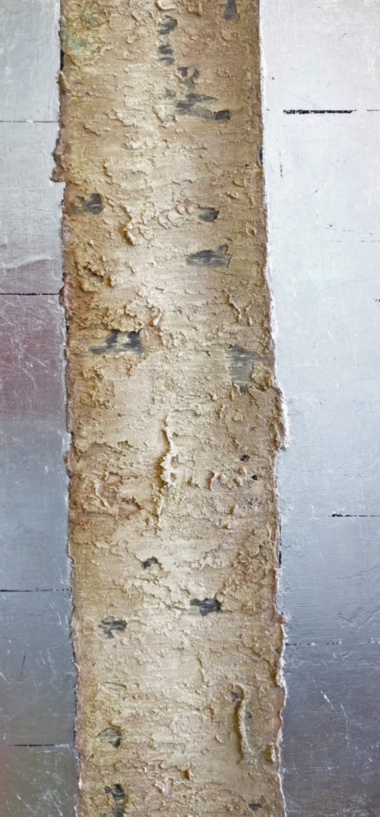 Beaver Bay Birch