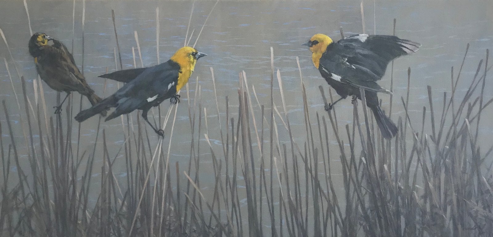 Work by Carl Oltvedt