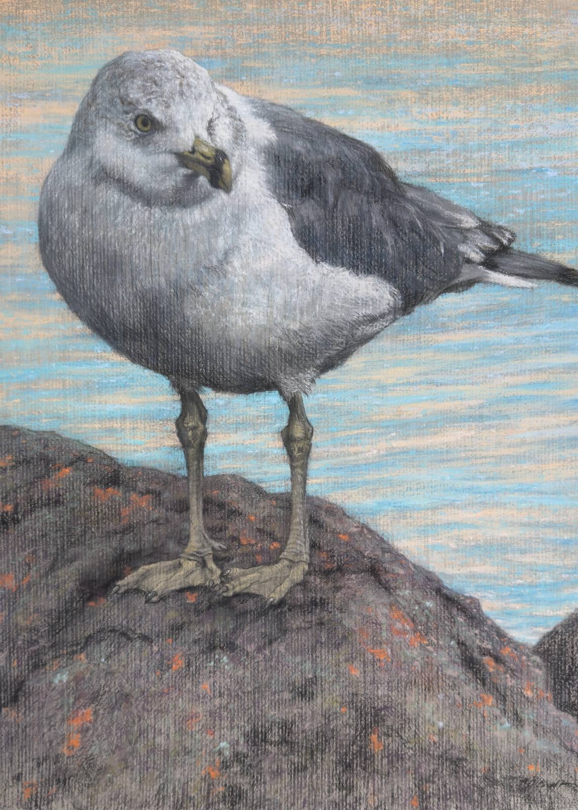 Work by Carl Oltvedt