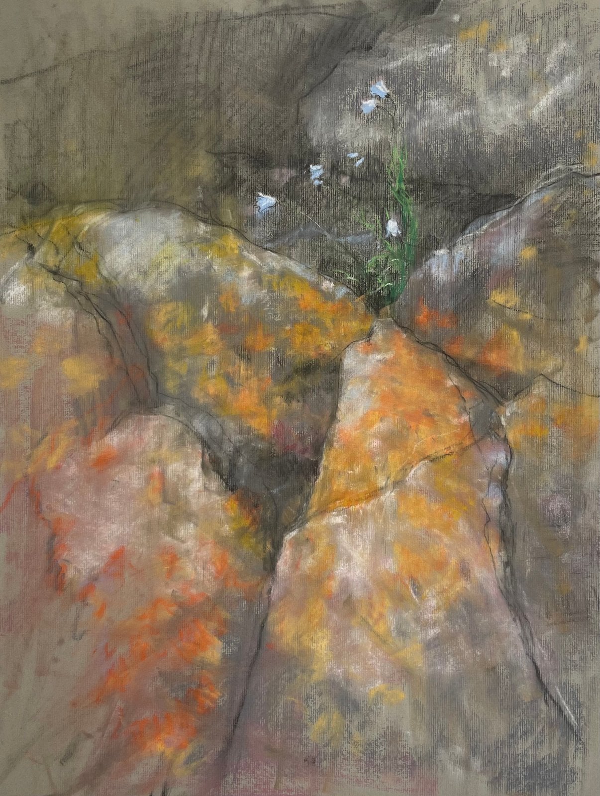 Work by Carl Oltvedt