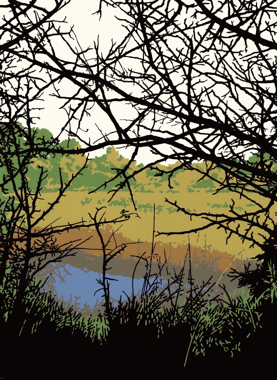Tangled River